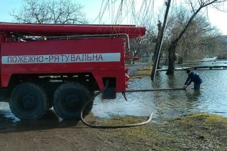 На Волині через бобрів ледь не затопило городи