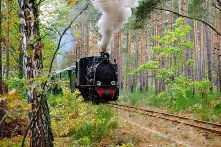 Рівненська вузькоколійка стане ще знаменитішою