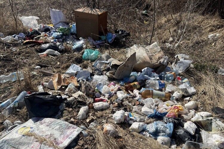 Волинянин перетворив околиці села на смітник