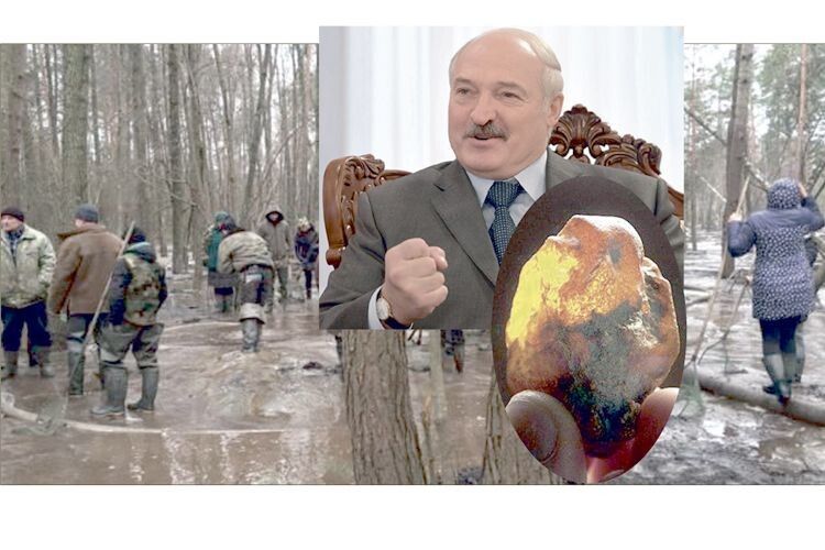 Старателі просять захисту… у Лукашенка