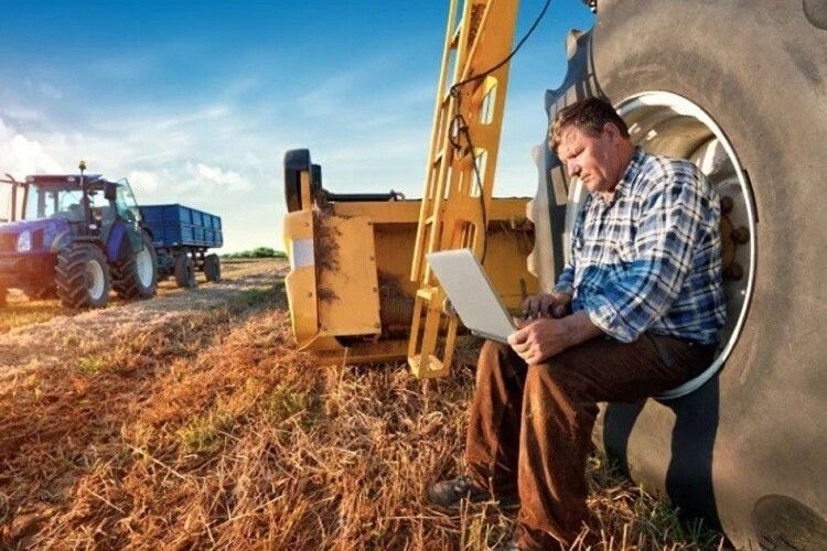 На Волині малим фермерам держава виплачує 2 тисячі на кожну корову