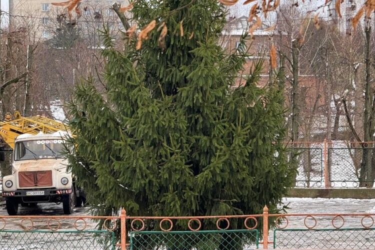 На Волині нова локація ялинки викликала суперечки