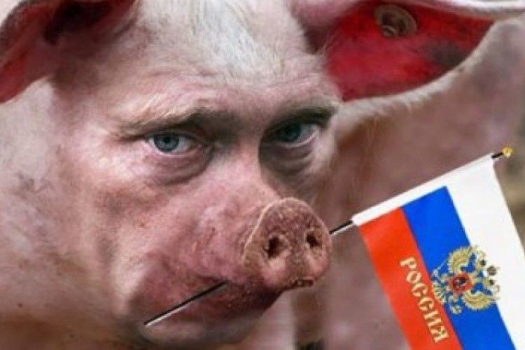 Бійці АТО називають свиней «Лавров» і «Путін» 