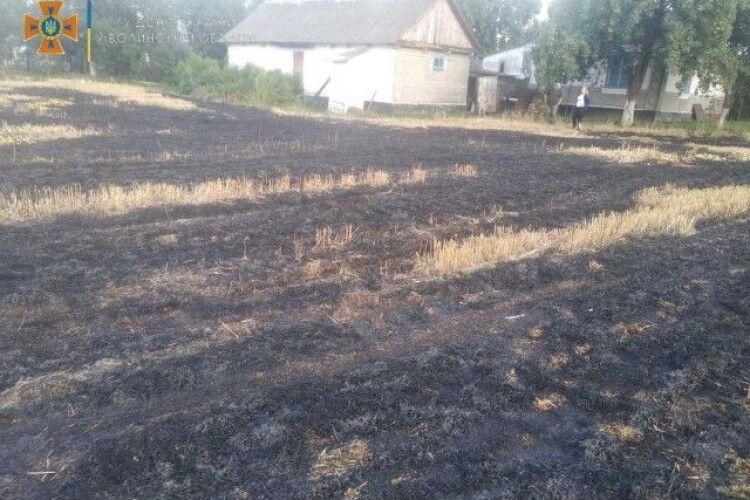 Палила стерню: на Волині в пожежі знову загинула жінка (Фото)