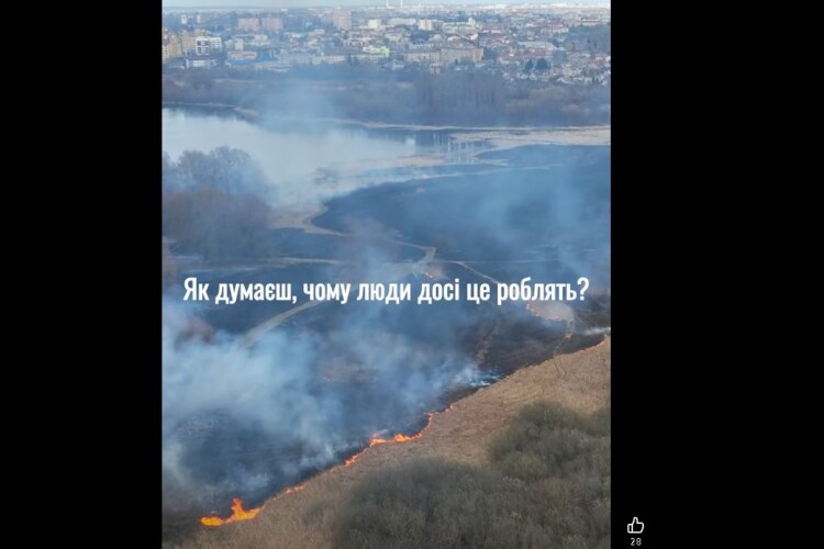 На Волині знайшлися «друзі путіна» (Відео)