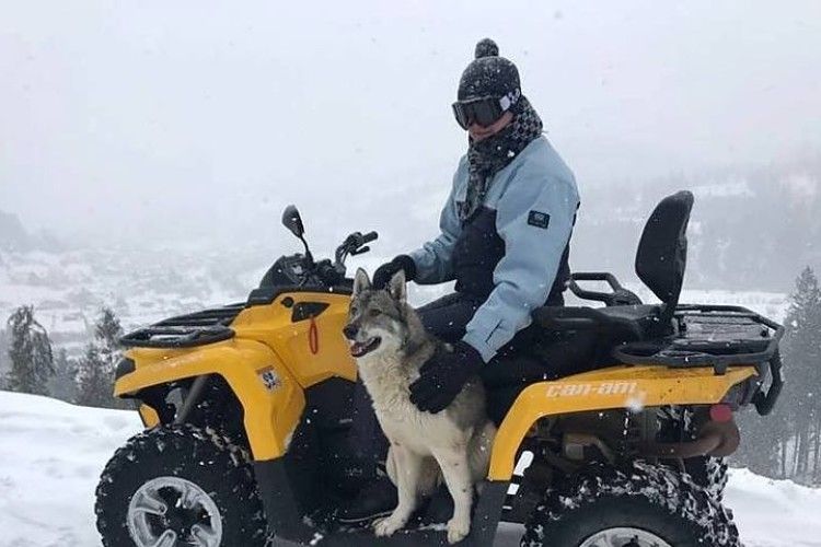 У горах на Львівщині собака врятував туриста