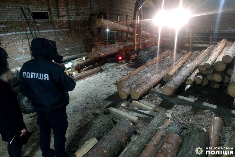 На Рівненщині у чоловіка вилучили незаконну деревину
