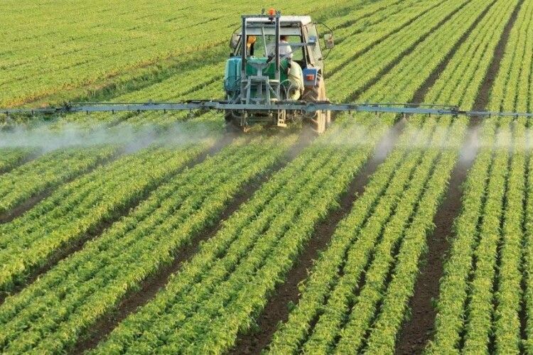 Волинь: агровиробництво зростає за рахунок великих підприємств