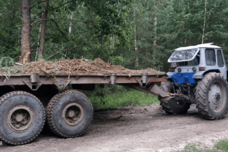 На Волині засуджено водія, який скоїв смертельну ДТП у стані сп'яніння