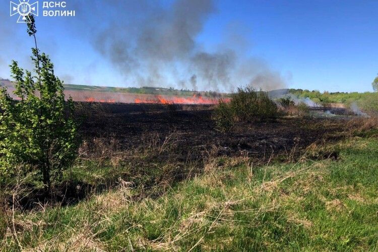 У двох громадах на Волині вогнеборці ліквідували пожежі: горіла суха трава
