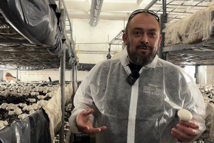 Ветеран з Волині завдяки фонду побудував грибну ферму (Відео)
