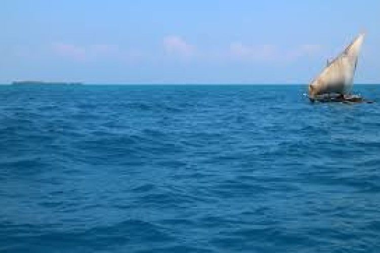 В Індійському океані поляк півроку плавав у човні з кішкою