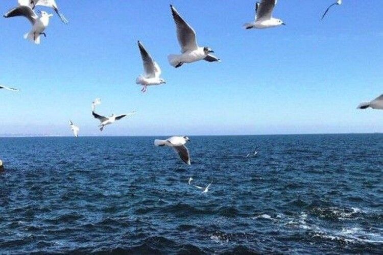 Влада розповіла, чи потрібно одеситам евакуюватися