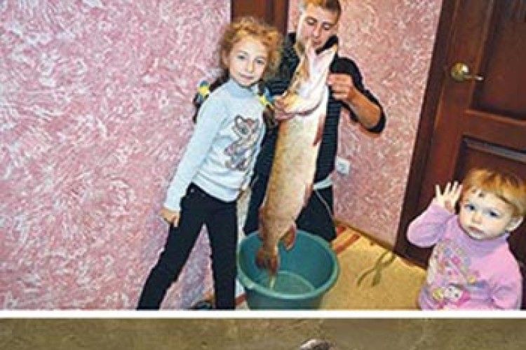 ПОПАВСЯ, СЕНЬЙОР ПОМІДОР?!!