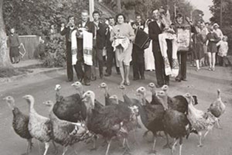 ФОТОФАКТ: весілля з приданим!