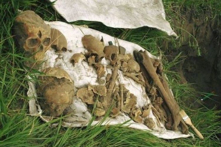 На Житомирщині знайши поховання жертв більшовицької каральної операції