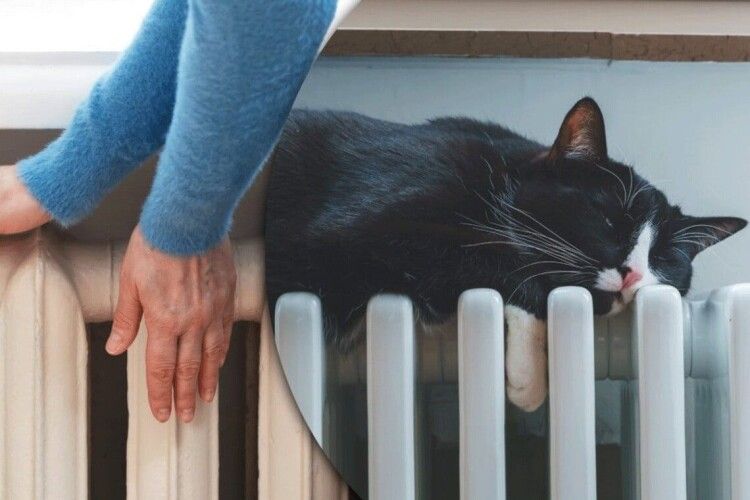 Аварія на тепломережі залишила без опалення 9 будинків у Луцьку