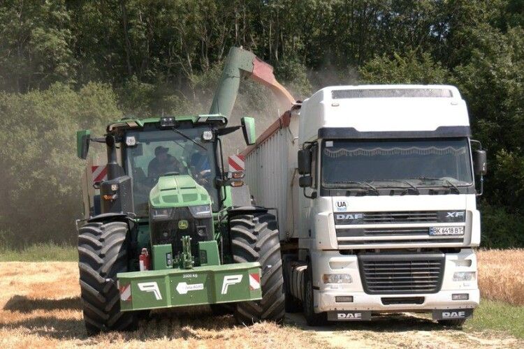 На Волині стартували жнива: у полях працюють понад 3 тисячі комбайнів (Відео)
