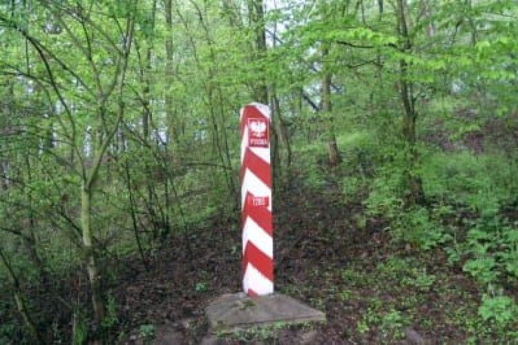 Польща відгородиться від Білорусі парканом