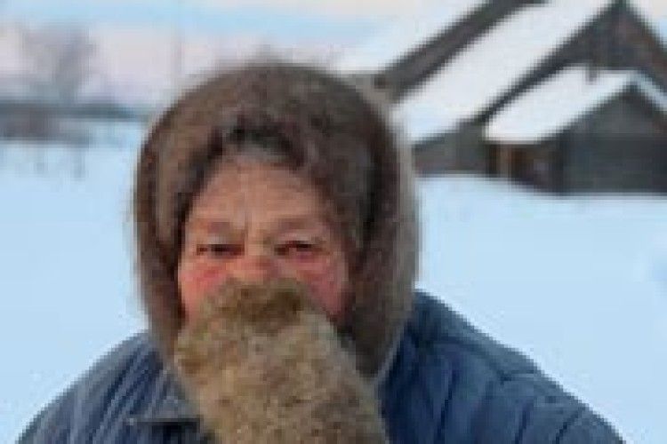 ЖЕРТВИ МОРОЗІВ