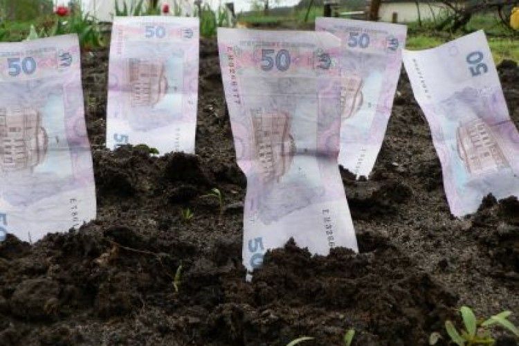 За втручання прокуратури на Волині державі повернуто земельну ділянку вартістю 5 млн. грн.