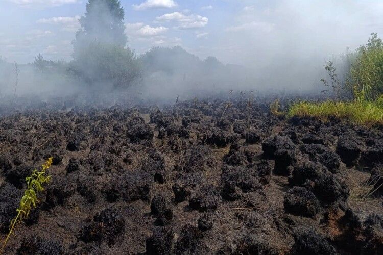 На Волині горіли суха трава, чагарники, очерет та торфовище