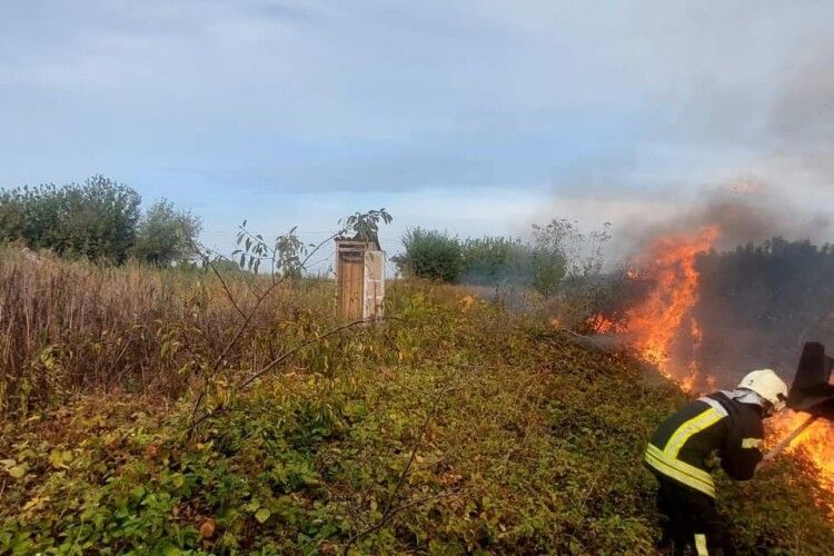 За підпал сухої рослинності волинянка сплатить штраф