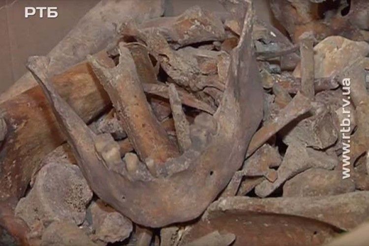 На Рівненщині археологи знайшли останки князя Чорторийського (відео)