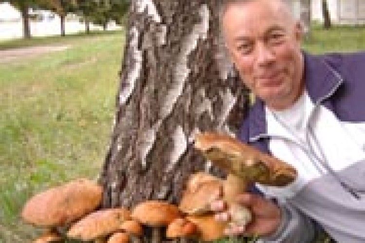 ТИХЕ ПОЛЮВАННЯ: на вечерю — один гриб!
