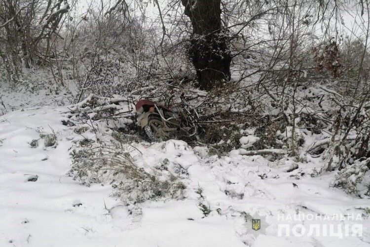 На Волині кінологи допомогли затримати двох злочинців