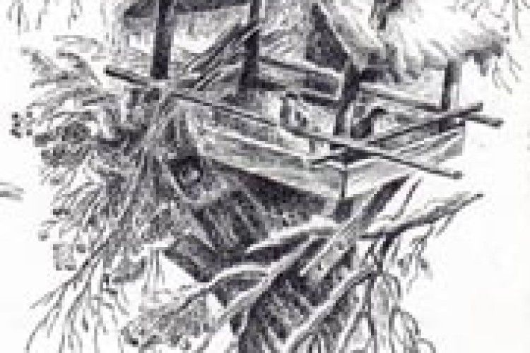 ПОГОДА: лютий тріщить морозом