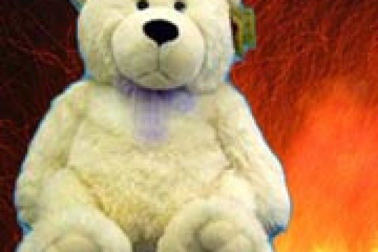 ВОГОНЬ ЗАБРАВ ЖИТТЯ ТРИРІЧНОГО ХЛОПЧИКА