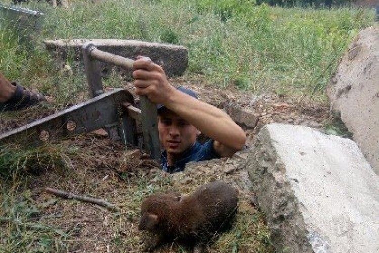 Дзвінкий голос не дав потонути маленькому песику