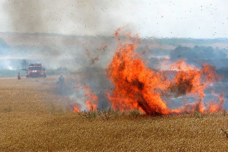 Фахівці ДСНС вживають всіх заходів, аби жнива у країні пройшли без вогняних пригод (Відео)
