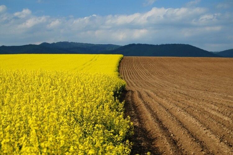 На Волині є понад 1 млн га земель сільськогосподарського призначення