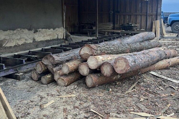 Деревина без документів та водій під кайфом – волинські «шерифи» наводять лад у громадах