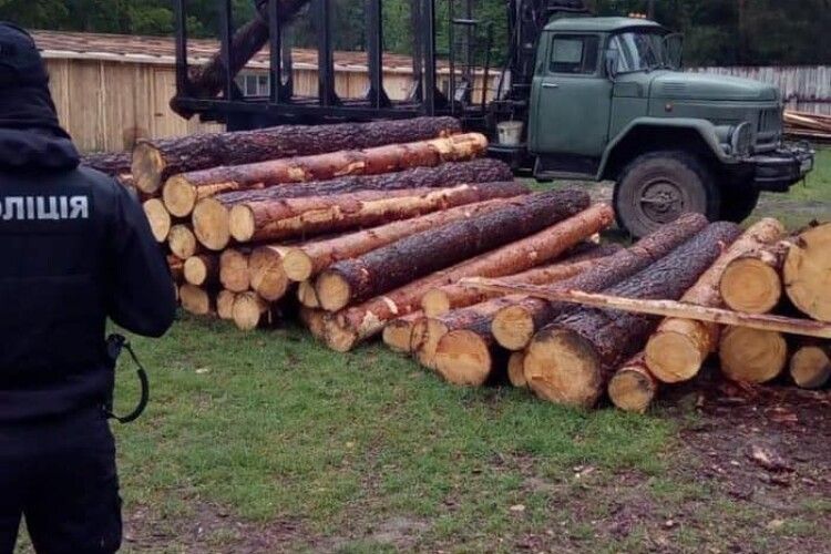 «Йде запекла боротьба з дубокрадами» – голова Держлісагентства прокоментував події на Волині