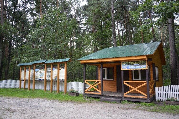У червні за в’їзд до Шацького нацпарку зібрали понад 200 тисяч гривень