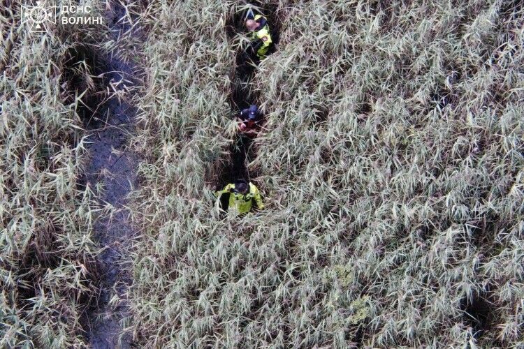 В Луцькому районі у болоті знайшли тіло чоловіка, який зник два місяці тому
