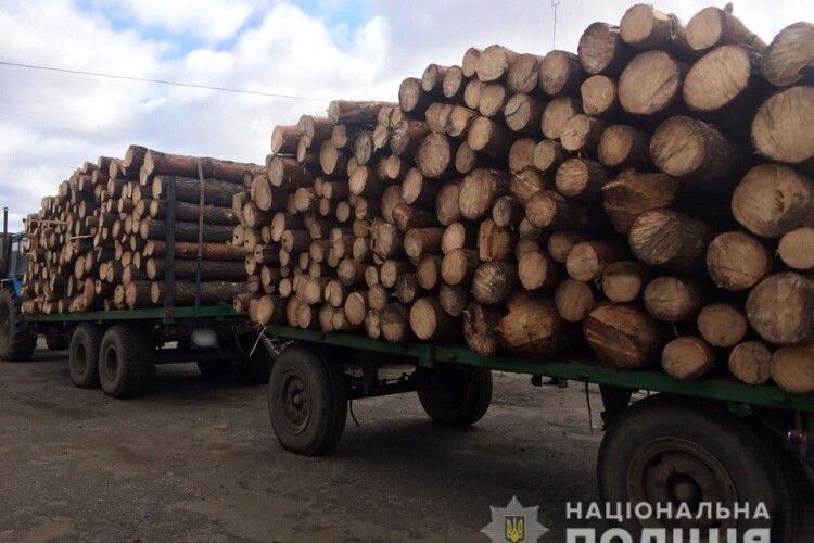 На Волині поліцейські затримали два причепи із лісодеревиною без документів