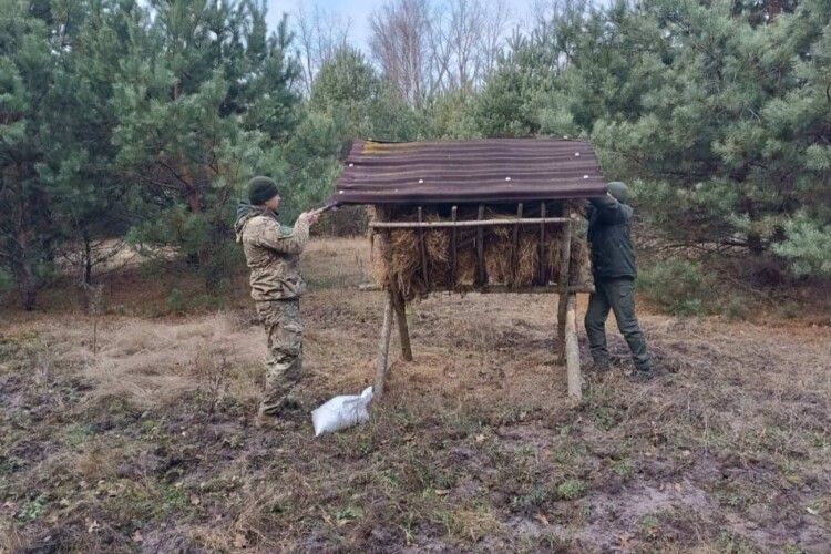 Як у нацпарку на Волині турбуються про диких тварин у зимовий період