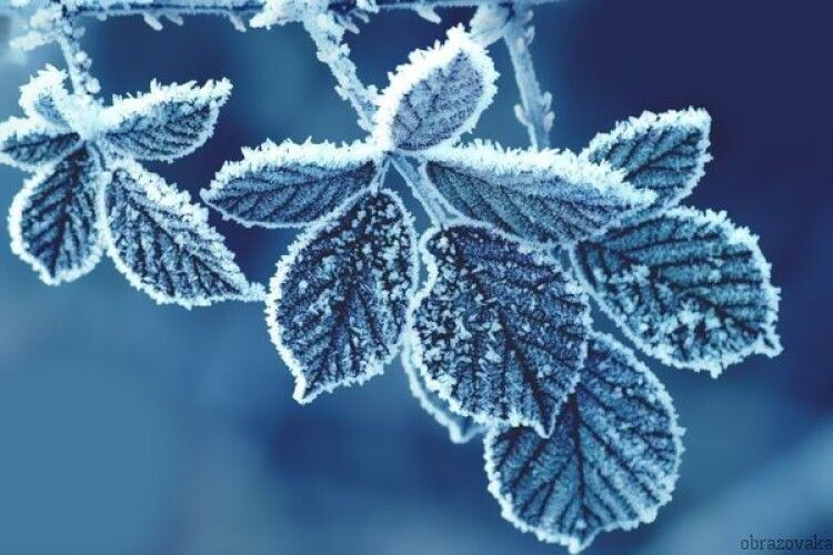 Середа буде морозною: прогноз погоди в Україні на 14 грудня