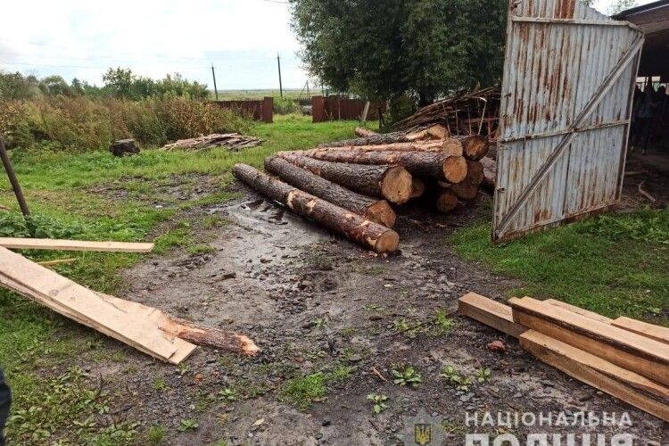 На Волині у дворі приватного підприємця виявили 6 кубів деревини без документів (фото)