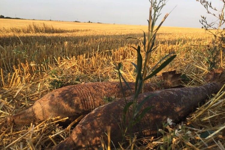Волинь за тиждень: 32 пожежі, 1 потопельник, 11 знешкоджень вибухівки