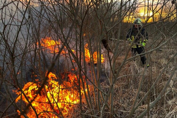 За добу на Волині вигоріло понад 7 гектарів землі