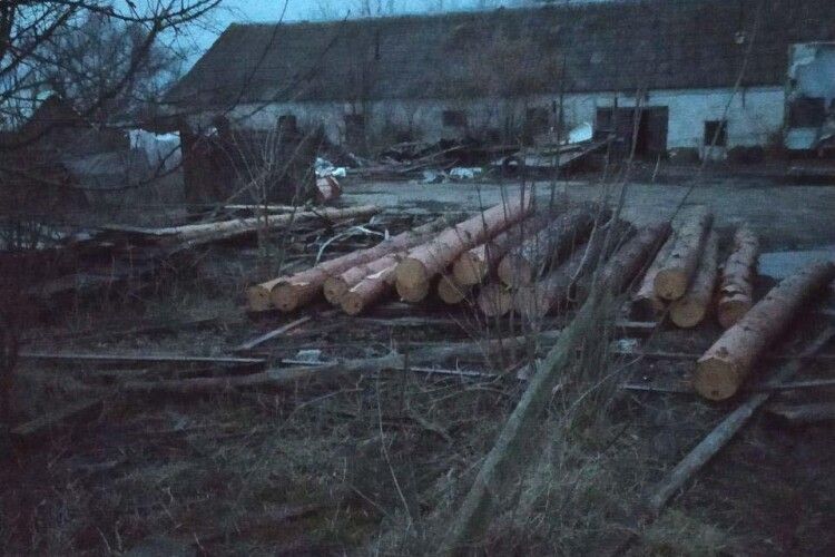 У селі Топілля виявили півтори дюжини соснових колод невідомого походження (фото)