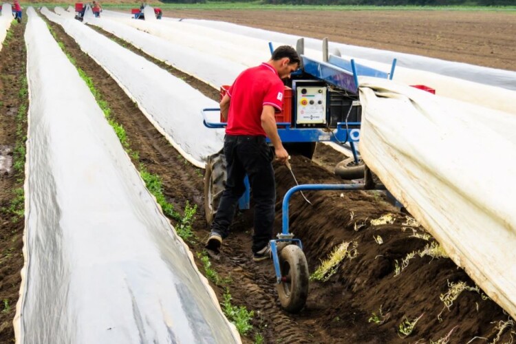 Польські фермери просять уряд залишити українських робітників