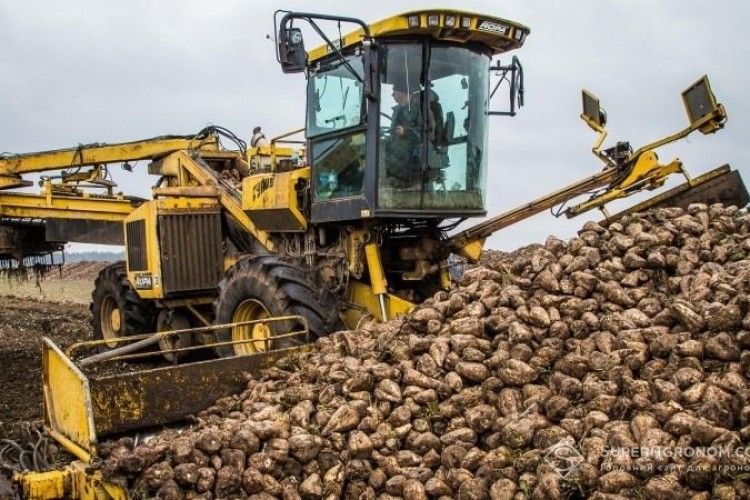 Гнідавський цукровий завод планує переробити 500 тис. тонн цукрових буряків