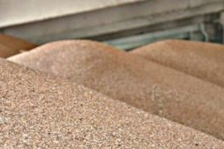 Правоохоронці завадили незаконному експорту більше 7 тисяч тонн пшениці на понад 1,2 мільйона доларів США