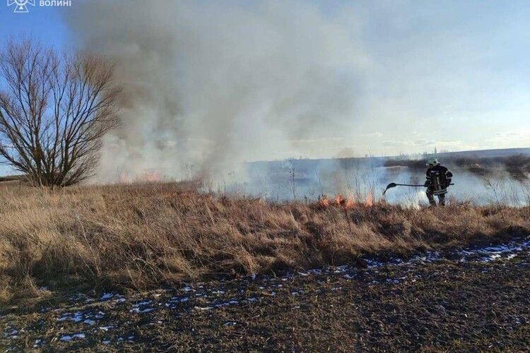 На Волині горіло 2 гектари сухої трави (Фото)